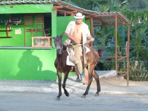 Cuban cowboy action