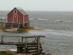 Rugged beauty on Fogo Island, Newfoundland