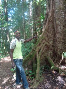 Dominica trail hike