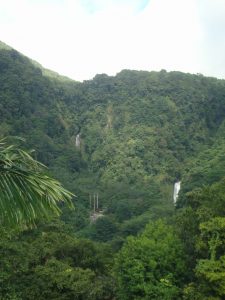 Dominica twin falls