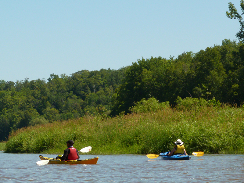 With Paddles in Hand – The Bruce Beckons