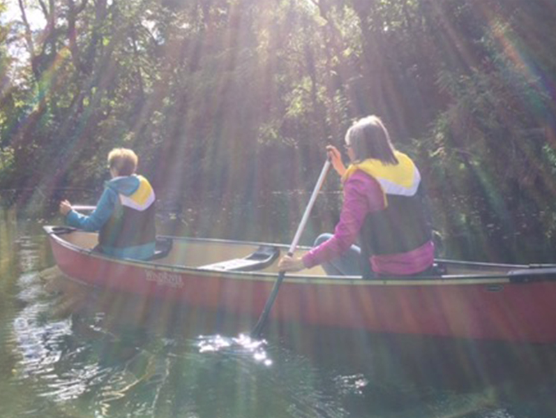 Canoeing with Salmon on the Sydenham River