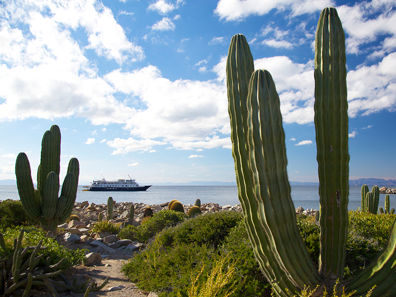 UnCruise through the Sea of Cortes