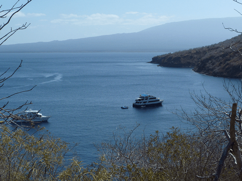 Galapagos Islands – Beyond All Expectations