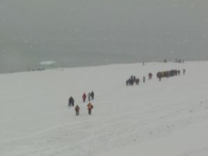 Beechey island group in snow